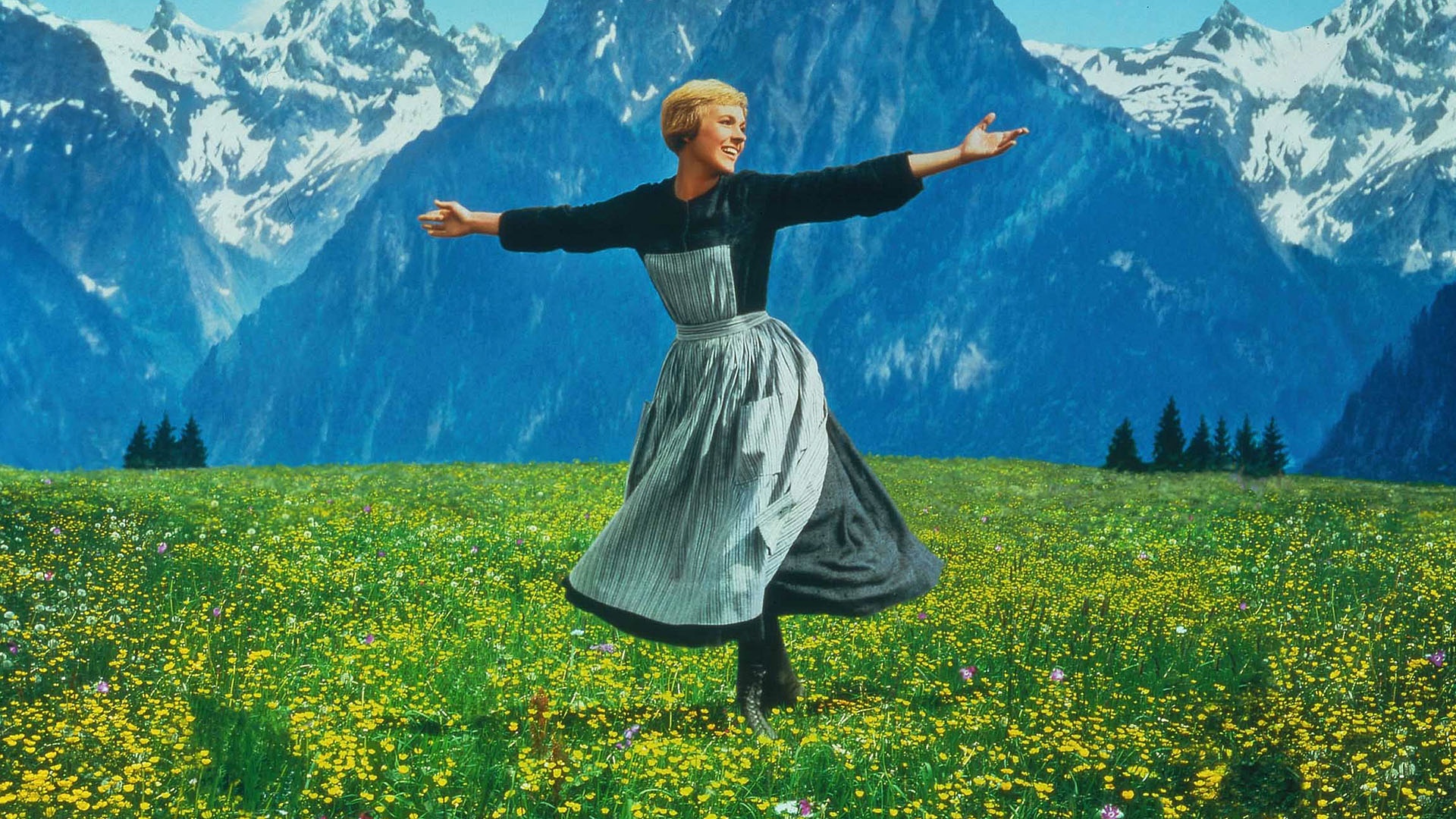 Sound of Music large Blank Meme Template