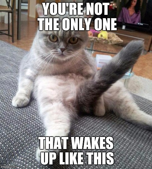 Sexy Cat Meme | YOU'RE NOT THE ONLY ONE THAT WAKES UP LIKE THIS | image tagged in memes,sexy cat | made w/ Imgflip meme maker
