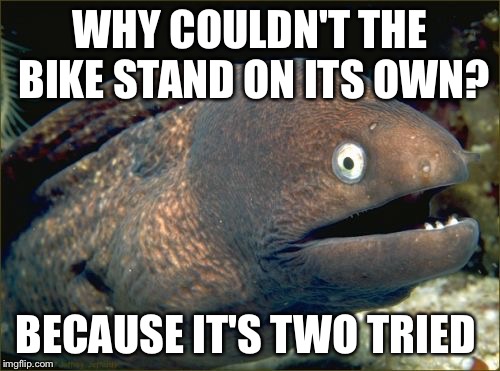 Bad Joke Eel Meme | WHY COULDN'T THE BIKE STAND ON ITS OWN? BECAUSE IT'S TWO TRIED | image tagged in memes,bad joke eel,puns | made w/ Imgflip meme maker