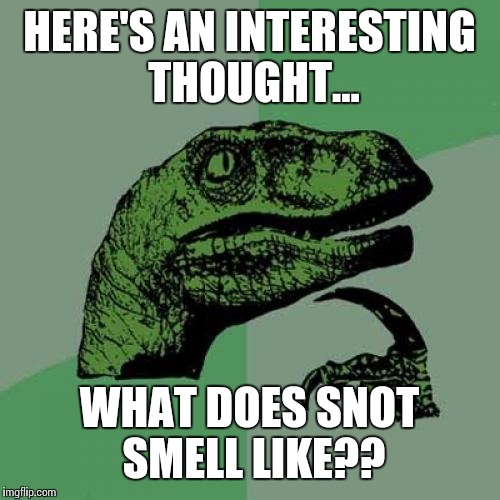 Philosoraptor | HERE'S AN INTERESTING THOUGHT... WHAT DOES SNOT SMELL LIKE?? | image tagged in memes,philosoraptor | made w/ Imgflip meme maker