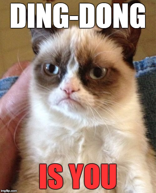 Grumpy Cat Meme | DING-DONG IS YOU | image tagged in memes,grumpy cat | made w/ Imgflip meme maker