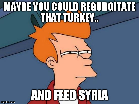 Futurama Fry Meme | MAYBE YOU COULD REGURGITATE THAT TURKEY.. AND FEED SYRIA | image tagged in memes,futurama fry | made w/ Imgflip meme maker