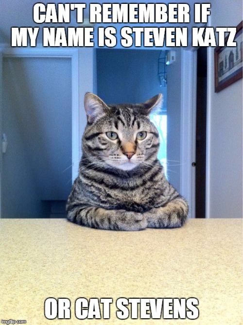 Take A Seat Cat Meme | CAN'T REMEMBER IF MY NAME IS STEVEN KATZ OR CAT STEVENS | image tagged in memes,take a seat cat | made w/ Imgflip meme maker