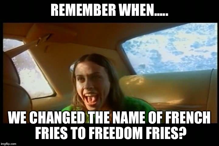 You gotta admit it is ! | REMEMBER WHEN..... WE CHANGED THE NAME OF FRENCH FRIES TO FREEDOM FRIES? | image tagged in alanis_ironic,ironic,freedom fries,memes | made w/ Imgflip meme maker
