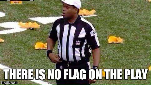 Come on Ref | image tagged in nfl referee,flag | made w/ Imgflip meme maker