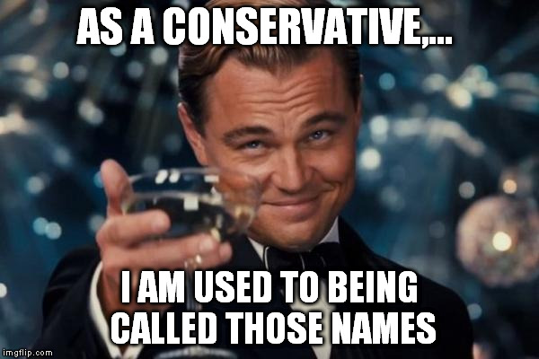 Leonardo Dicaprio Cheers Meme | AS A CONSERVATIVE,... I AM USED TO BEING CALLED THOSE NAMES | image tagged in memes,leonardo dicaprio cheers | made w/ Imgflip meme maker