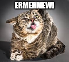 cat tongue out | ERMERMEW! | image tagged in cat tongue out | made w/ Imgflip meme maker