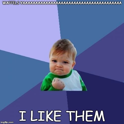 Success Kid | WAFFELS YAAAAAAAAAAAAAAAAAAAAAAAAAAAAAAAAAAAAAAA I LIKE THEM | image tagged in memes,success kid | made w/ Imgflip meme maker