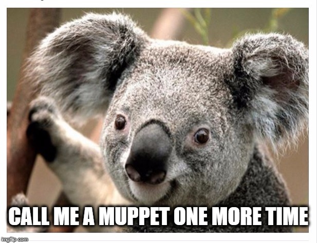 Call Me A Muppet | CALL ME A MUPPET ONE MORE TIME | image tagged in funny memes | made w/ Imgflip meme maker