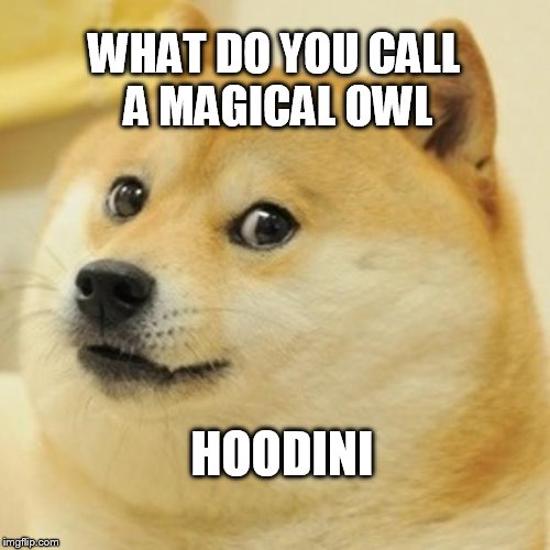 Doge | WHAT DO YOU CALL A MAGICAL OWL HOODINI | image tagged in memes,doge | made w/ Imgflip meme maker