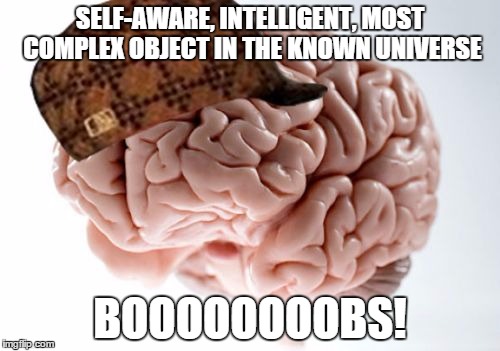 Scumbag Brain Meme | SELF-AWARE, INTELLIGENT, MOST COMPLEX OBJECT IN THE KNOWN UNIVERSE BOOOOOOOOBS! | image tagged in memes,scumbag brain | made w/ Imgflip meme maker