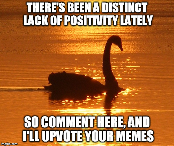 Spread the Love | THERE'S BEEN A DISTINCT LACK OF POSITIVITY LATELY SO COMMENT HERE, AND I'LL UPVOTE YOUR MEMES | image tagged in swan at sunset,memes,positive,upvote,funny | made w/ Imgflip meme maker