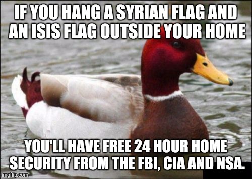 Want free security? | IF YOU HANG A SYRIAN FLAG AND AN ISIS FLAG OUTSIDE YOUR HOME YOU'LL HAVE FREE 24 HOUR HOME SECURITY FROM THE FBI, CIA AND NSA. | image tagged in memes,malicious advice mallard | made w/ Imgflip meme maker
