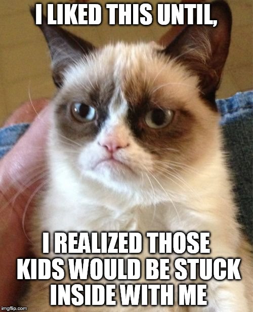 Grumpy Cat Meme | I LIKED THIS UNTIL, I REALIZED THOSE KIDS WOULD BE STUCK INSIDE WITH ME | image tagged in memes,grumpy cat | made w/ Imgflip meme maker