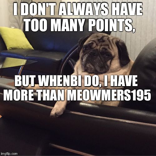 Most interesting pug in the world | I DON'T ALWAYS HAVE TOO MANY POINTS, BUT WHENBI DO, I HAVE MORE THAN MEOWMERS195 | image tagged in most interesting pug in the world | made w/ Imgflip meme maker