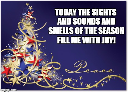 Christmas Affirmation  | TODAY THE SIGHTS AND SOUNDS AND SMELLS OF THE SEASON FILL ME WITH JOY! | image tagged in christmas,affirmation,peace | made w/ Imgflip meme maker