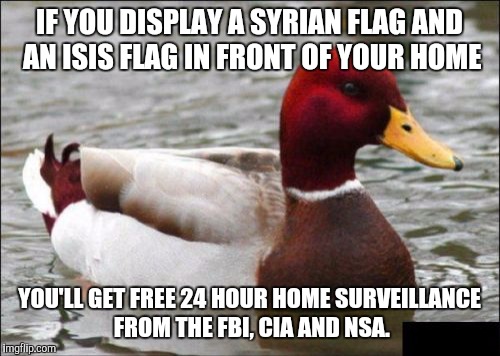 Want free home security? | IF YOU DISPLAY A SYRIAN FLAG AND AN ISIS FLAG IN FRONT OF YOUR HOME YOU'LL GET FREE 24 HOUR HOME SURVEILLANCE FROM THE FBI, CIA AND NSA. | image tagged in memes,malicious advice mallard | made w/ Imgflip meme maker