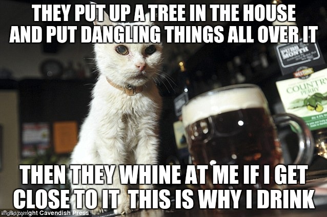 THEY PUT UP A TREE IN THE HOUSE AND PUT DANGLING THINGS ALL OVER IT THEN THEY WHINE AT ME IF I GET CLOSE TO IT THIS IS WHY I DRINK | image tagged in why i drink | made w/ Imgflip meme maker