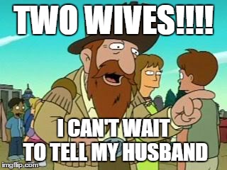 waterfall | TWO WIVES!!!! I CAN'T WAIT TO TELL MY HUSBAND | image tagged in waterfall | made w/ Imgflip meme maker