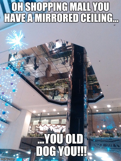 Shopping Mall you old dog.. | OH SHOPPING MALL YOU HAVE A MIRRORED CEILING... ...YOU OLD DOG YOU!!! | image tagged in mirror,old dog | made w/ Imgflip meme maker