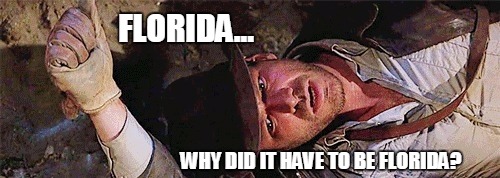 FLORIDA, WHY DOES IT ALWAYS HAVE TO BE FLORIDA? | FLORIDA... WHY DID IT HAVE TO BE FLORIDA? | image tagged in florida,indiana jones,harrison ford,florida man,crazy news,weird | made w/ Imgflip meme maker