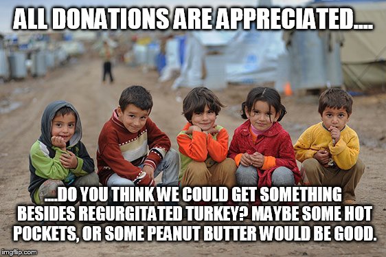 ALL DONATIONS ARE APPRECIATED.... ....DO YOU THINK WE COULD GET SOMETHING BESIDES REGURGITATED TURKEY? MAYBE SOME HOT POCKETS, OR SOME PEANU | made w/ Imgflip meme maker