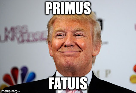 Donald trump approves | PRIMUS FATUIS | image tagged in donald trump approves | made w/ Imgflip meme maker