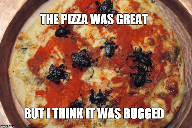 pizza bug | THE PIZZA WAS GREAT BUT I THINK IT WAS BUGGED | image tagged in pizza bug | made w/ Imgflip meme maker