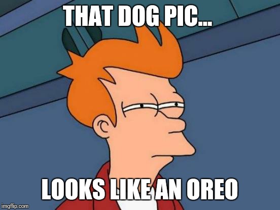 Futurama Fry Meme | THAT DOG PIC... LOOKS LIKE AN OREO | image tagged in memes,futurama fry | made w/ Imgflip meme maker
