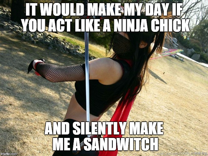 lady ninja | IT WOULD MAKE MY DAY IF YOU ACT LIKE A NINJA CHICK AND SILENTLY MAKE ME A SANDWITCH | image tagged in lady ninja | made w/ Imgflip meme maker