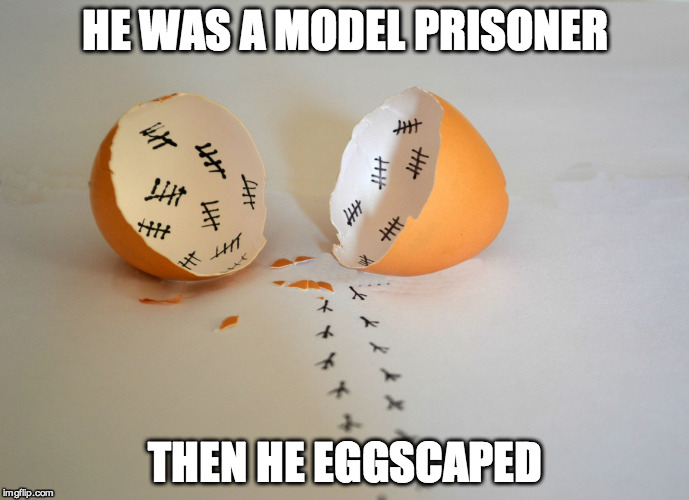 The Yolk's On You | HE WAS A MODEL PRISONER THEN HE EGGSCAPED | image tagged in egg,escape,funny | made w/ Imgflip meme maker