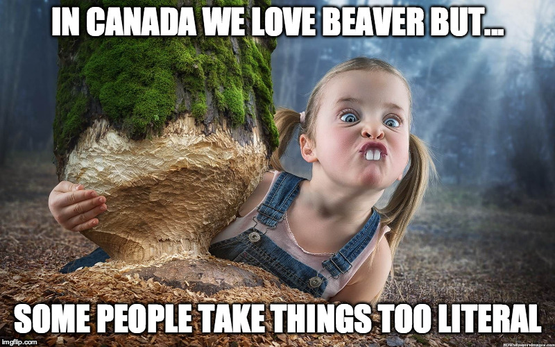 New Species? | IN CANADA WE LOVE BEAVER BUT... SOME PEOPLE TAKE THINGS TOO LITERAL | image tagged in canada,mating,choose wisely,funny,you can't handle the tooth | made w/ Imgflip meme maker