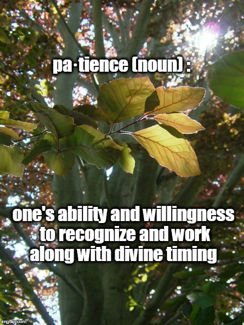 Definition of Patience | pa·tience (noun) : one's ability and willingness to recognize and work along with divine timing | image tagged in patience,definition,inspirational,motivational,spiritual,christian | made w/ Imgflip meme maker
