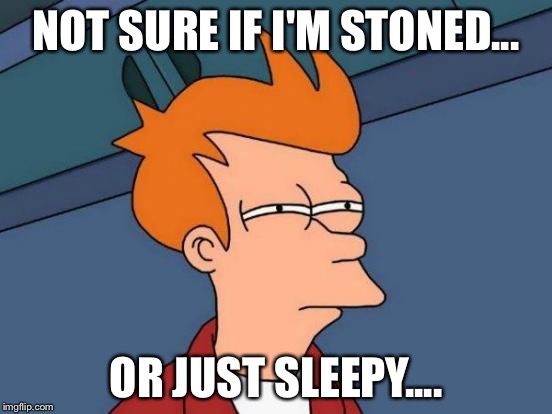 Futurama Fry Meme | NOT SURE IF I'M STONED... OR JUST SLEEPY.... | image tagged in memes,futurama fry | made w/ Imgflip meme maker