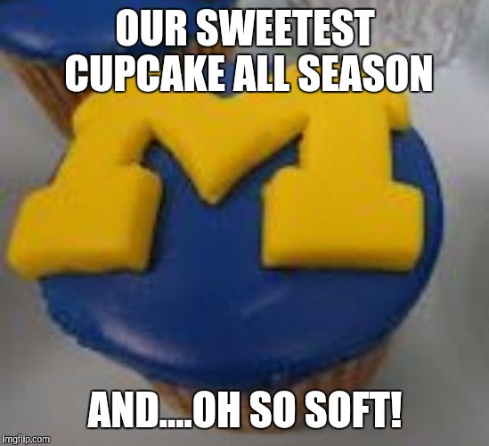 OUR SWEETEST CUPCAKE ALL SEASON AND....OH SO SOFT! | image tagged in ohio state,buckeyes | made w/ Imgflip meme maker