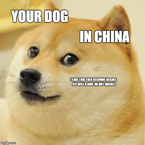 Doge | YOUR DOG IN CHINA (TAKE THIS TWO SECONDE DEGREE. ITS JUST A JOKE. IM NOT RACIST) | image tagged in memes,doge | made w/ Imgflip meme maker