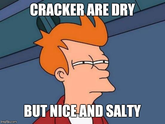 Futurama Fry Meme | CRACKER ARE DRY BUT NICE AND SALTY | image tagged in memes,futurama fry | made w/ Imgflip meme maker
