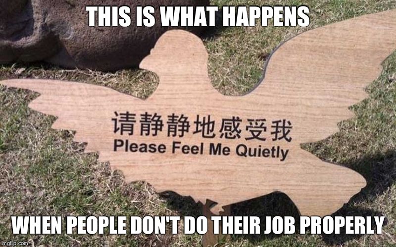 Please feel me quietly | THIS IS WHAT HAPPENS WHEN PEOPLE DON'T DO THEIR JOB PROPERLY | image tagged in please feel me quietly | made w/ Imgflip meme maker