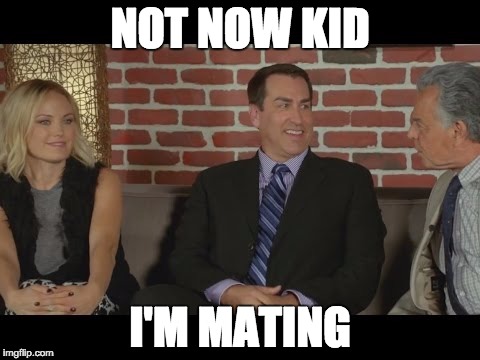 Not now kid, I'm mating.  | NOT NOW KID I'M MATING | image tagged in skip reming,newsreaders,adult swim,mating | made w/ Imgflip meme maker