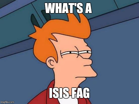 Futurama Fry Meme | WHAT'S A ISIS F*G | image tagged in memes,futurama fry | made w/ Imgflip meme maker
