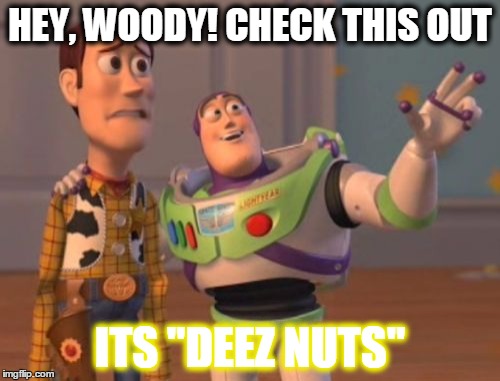 X, X Everywhere | HEY, WOODY! CHECK THIS OUT ITS "DEEZ NUTS" | image tagged in memes,x x everywhere | made w/ Imgflip meme maker