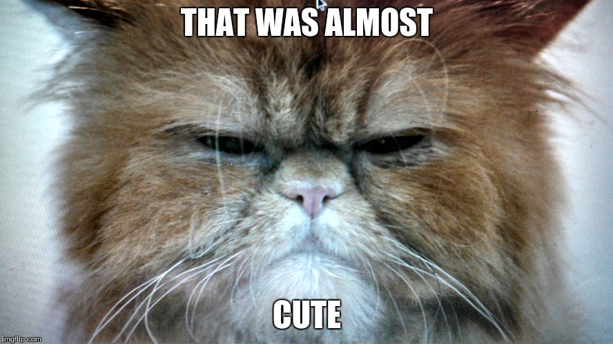 THAT WAS ALMOST CUTE | made w/ Imgflip meme maker