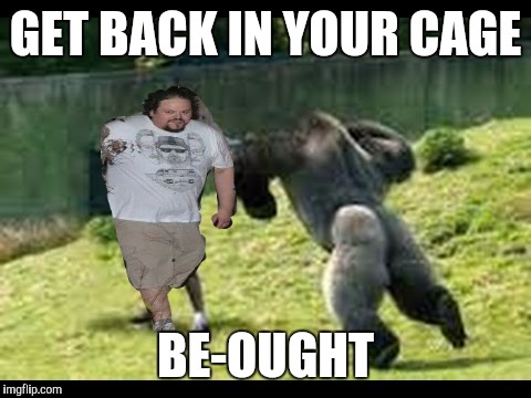 Who's your be-ought | GET BACK IN YOUR CAGE BE-OUGHT | image tagged in memes | made w/ Imgflip meme maker