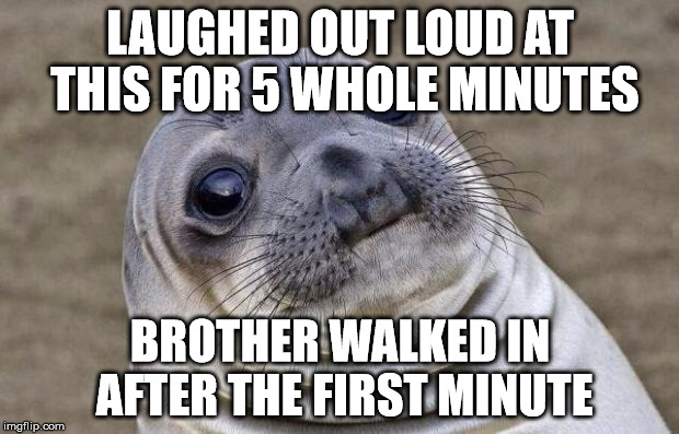 Awkward Moment Sealion Meme | LAUGHED OUT LOUD AT THIS FOR 5 WHOLE MINUTES BROTHER WALKED IN AFTER THE FIRST MINUTE | image tagged in memes,awkward moment sealion | made w/ Imgflip meme maker