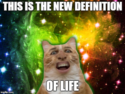 THIS IS THE NEW DEFINITION OF LIFE | image tagged in life,space,cat,cats,lol,meme | made w/ Imgflip meme maker
