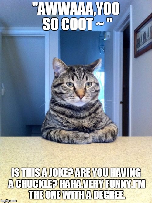 What your cat ACTUALLY thinks of you. | "AWWAAA,YOO SO COOT ~ " IS THIS A JOKE? ARE YOU HAVING A CHUCKLE? HAHA.VERY FUNNY.I'M THE ONE WITH A DEGREE. | image tagged in memes,take a seat cat,degree,kawaii | made w/ Imgflip meme maker