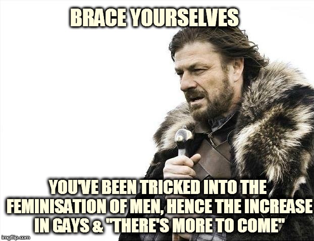 Brace Yourselves X is Coming | BRACE YOURSELVES YOU'VE BEEN TRICKED INTO THE FEMINISATION OF MEN, HENCE THE INCREASE IN GAYS & "THERE'S MORE TO COME" | image tagged in memes,brace yourselves x is coming | made w/ Imgflip meme maker