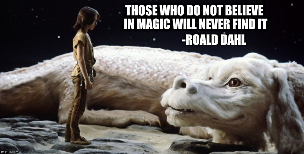 THOSE WHO DO NOT BELIEVE IN MAGIC WILL NEVER FIND IT -ROALD DAHL | image tagged in majic | made w/ Imgflip meme maker