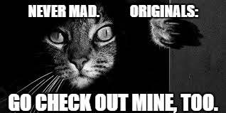 cat black and white | NEVER MAD.           ORIGINALS: GO CHECK OUT MINE, TOO. | image tagged in cat black and white | made w/ Imgflip meme maker