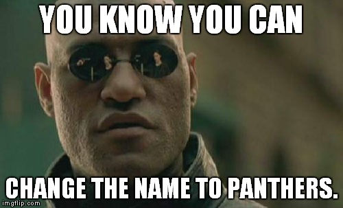 Matrix Morpheus Meme | YOU KNOW YOU CAN CHANGE THE NAME TO PANTHERS. | image tagged in memes,matrix morpheus | made w/ Imgflip meme maker